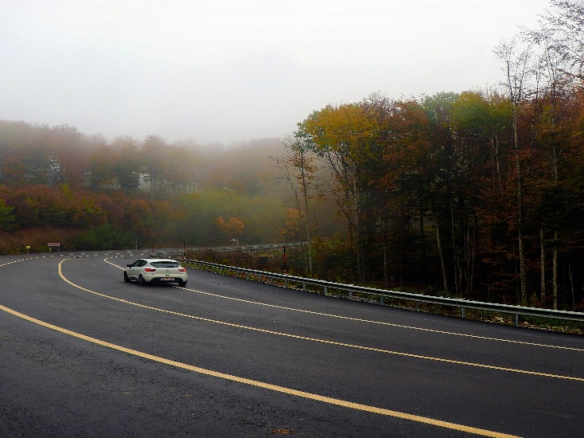 Auto Insurance in Terre Haute, IN: How Fall Deer Collisions Affect Your Coverage